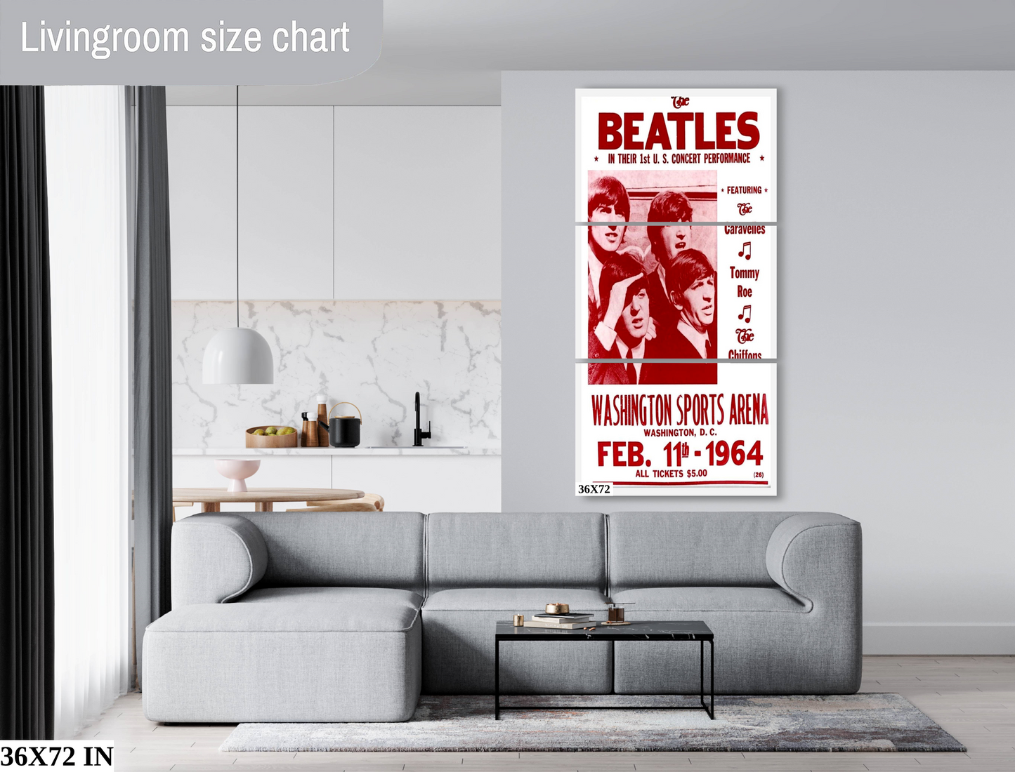 The Beatles at the Washington Sports Arena concert poster