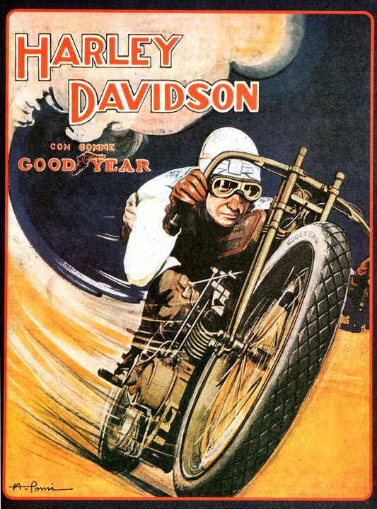 Harley Motorcycle Racing