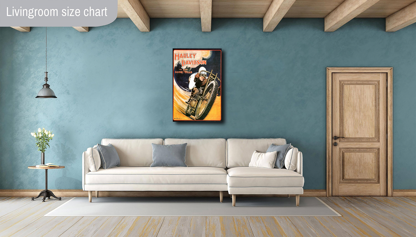 Harley Motorcycle Racing