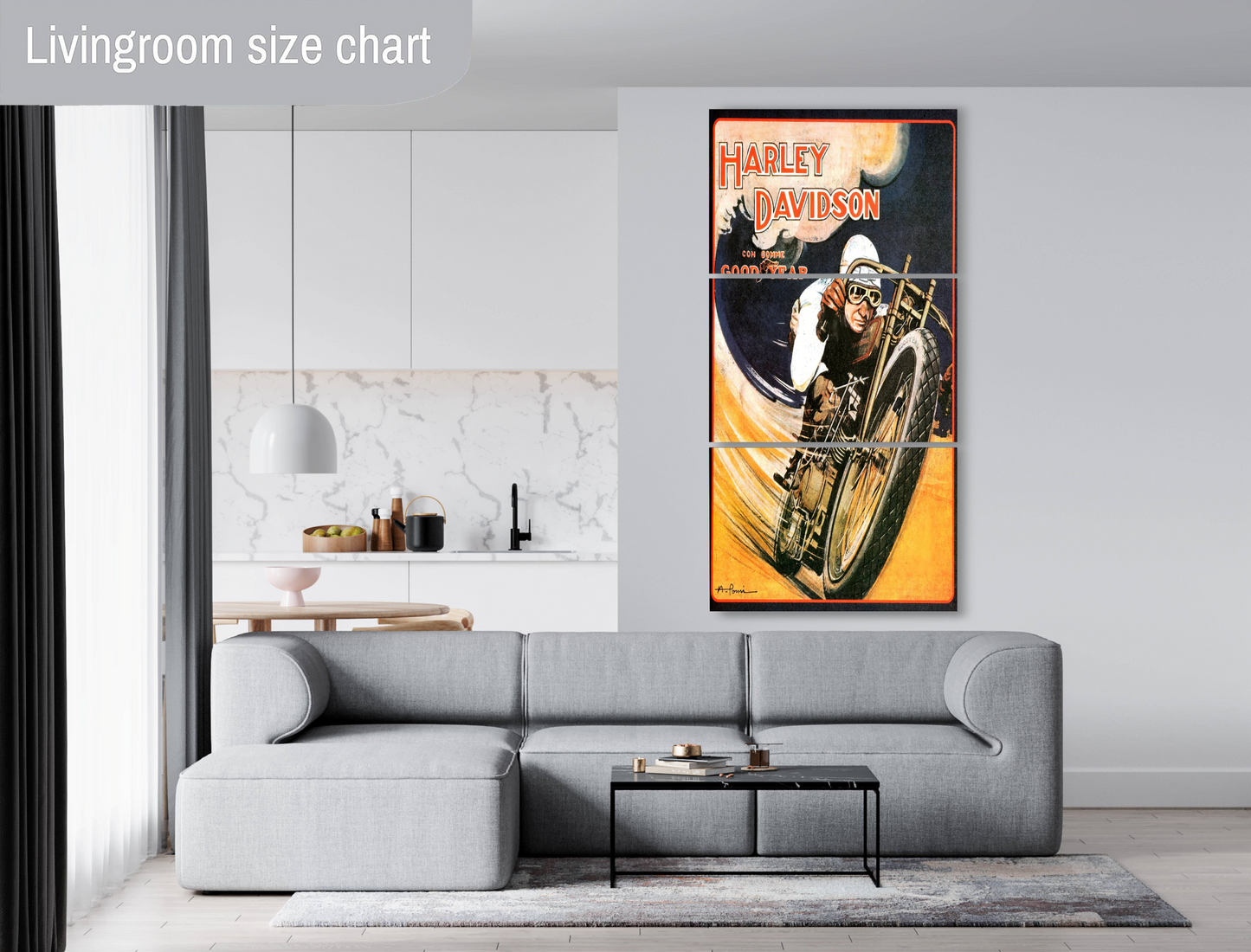 Harley Motorcycle Racing