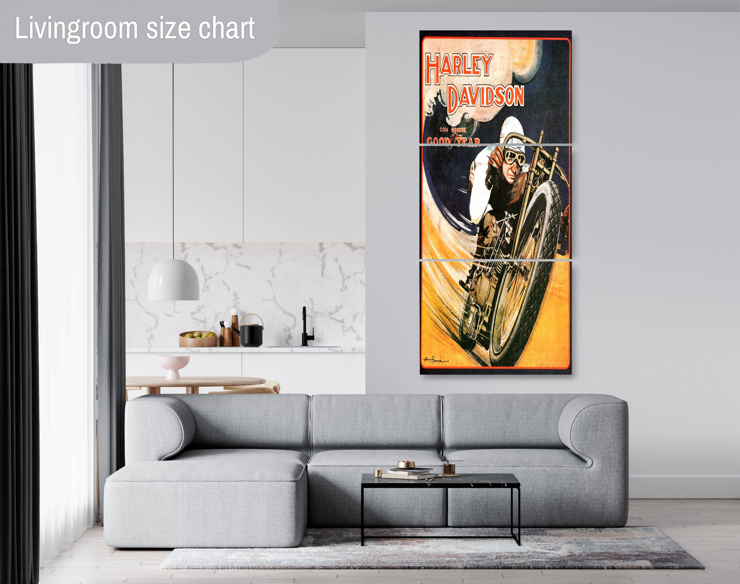 Harley Motorcycle Racing