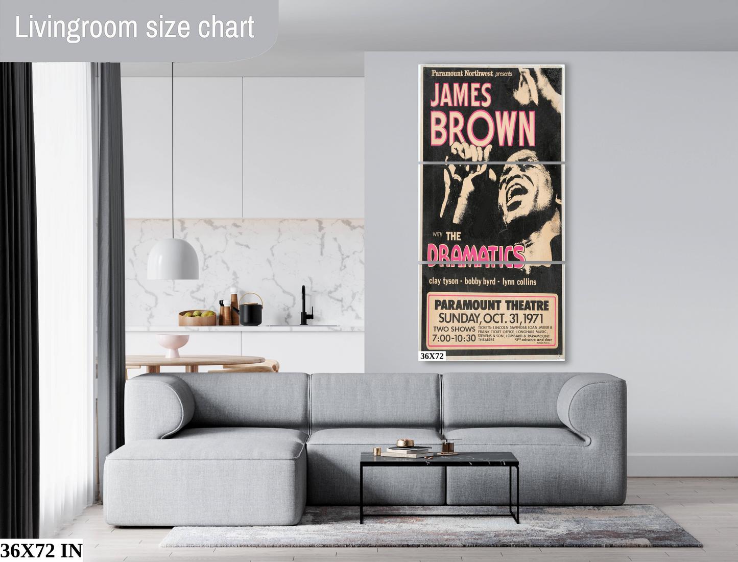 James Brown at the Paramount Theater concert poster