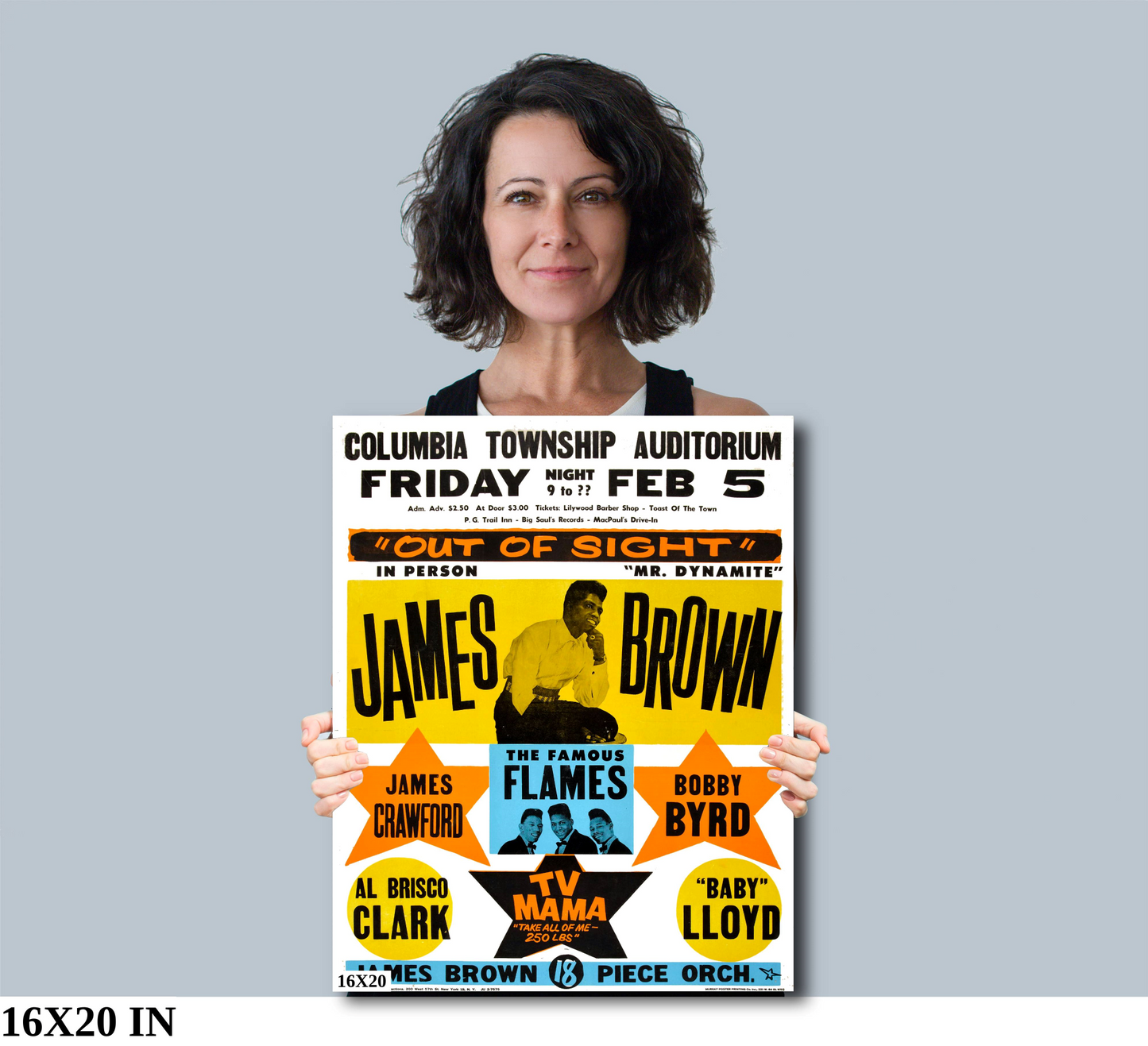 James Brown at the Columbia Township Auditorium concert poster